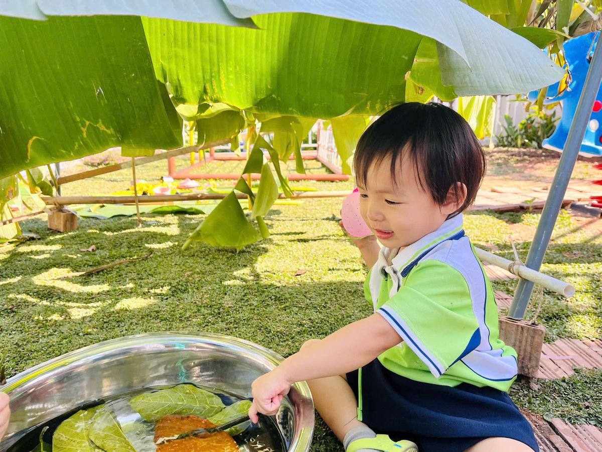 Ảnh hoạt động