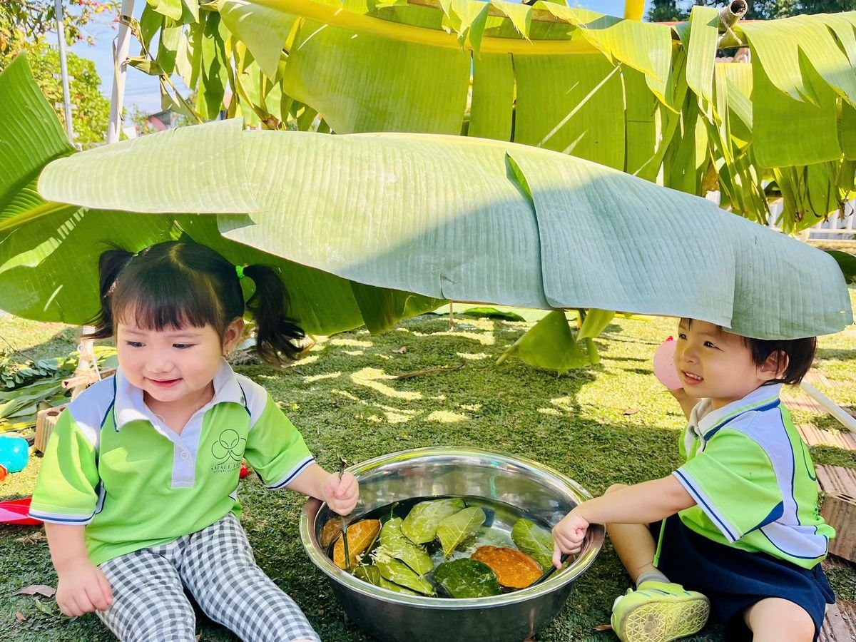 Ảnh hoạt động
