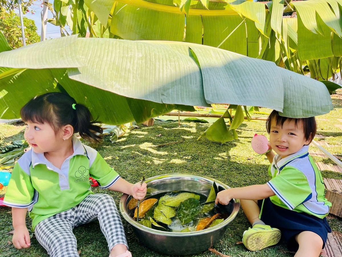 Ảnh hoạt động