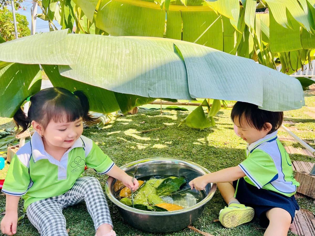 Ảnh hoạt động