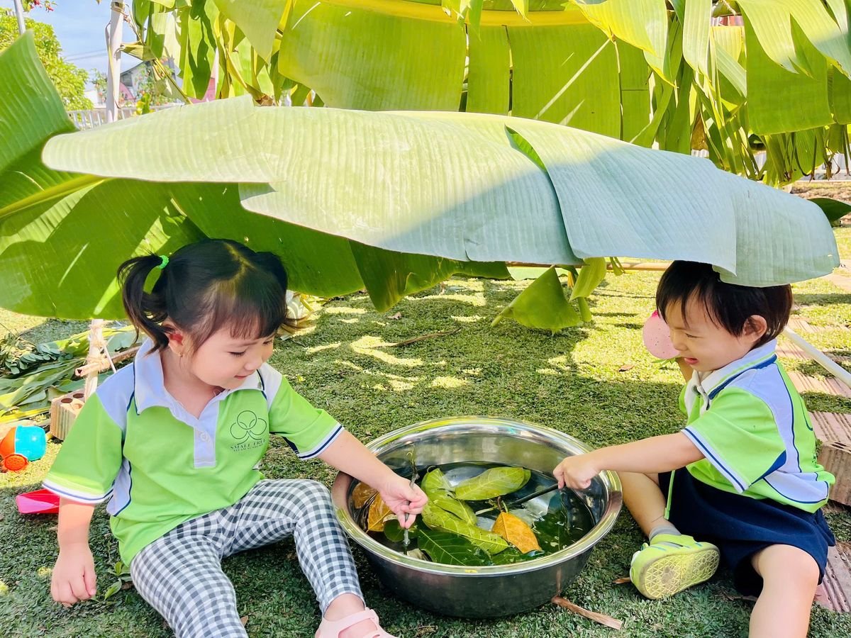 Ảnh hoạt động