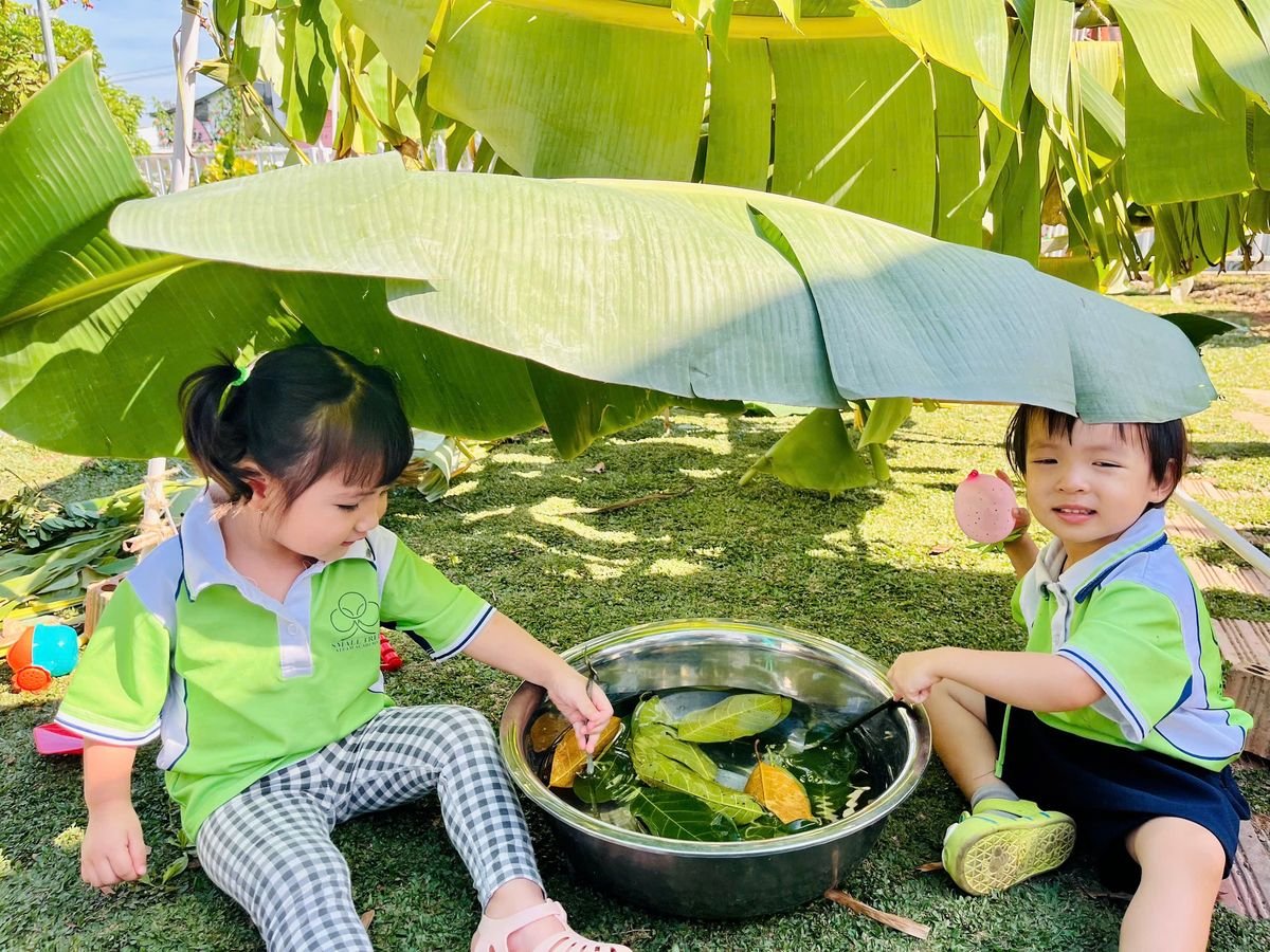 Ảnh hoạt động
