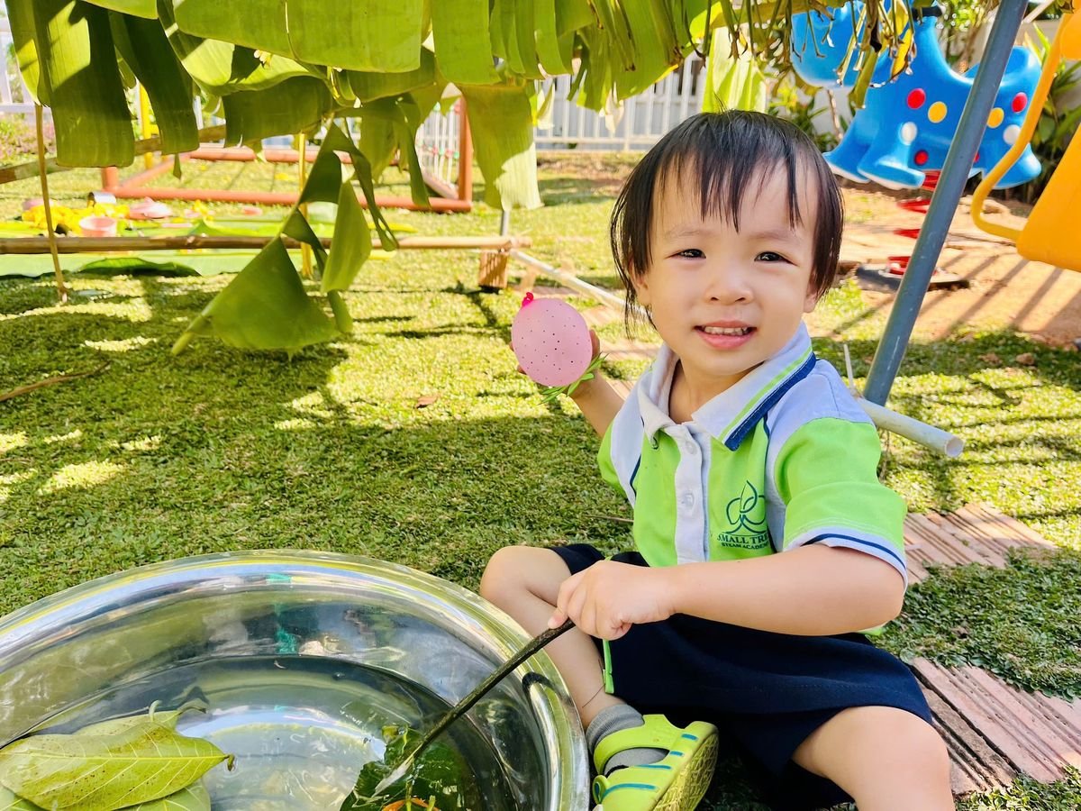 Ảnh hoạt động