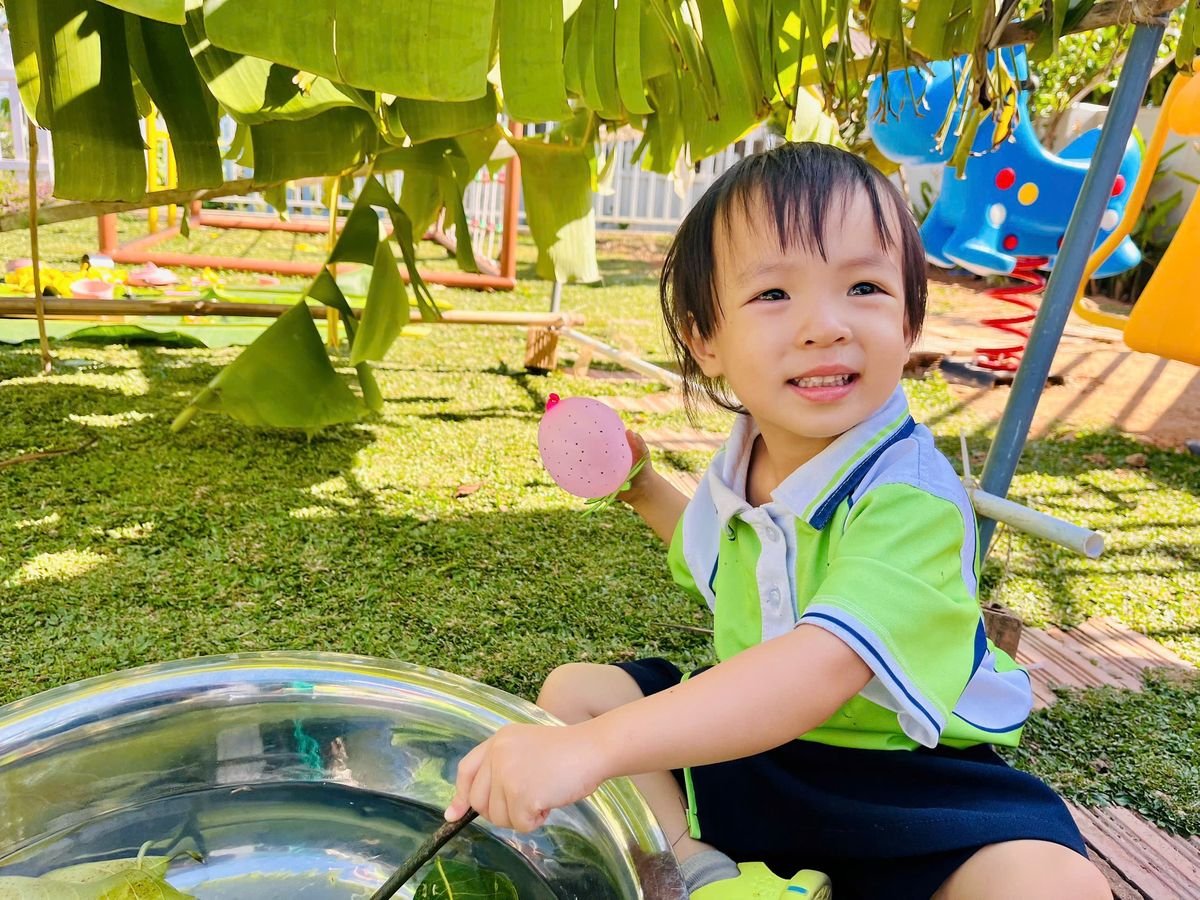 Ảnh hoạt động