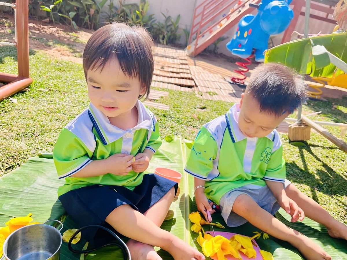 Ảnh hoạt động