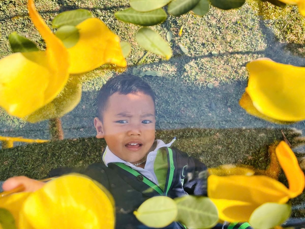Ảnh hoạt động
