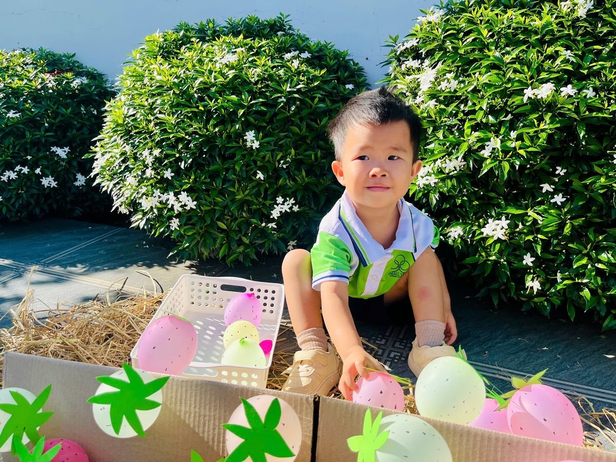 Ảnh hoạt động