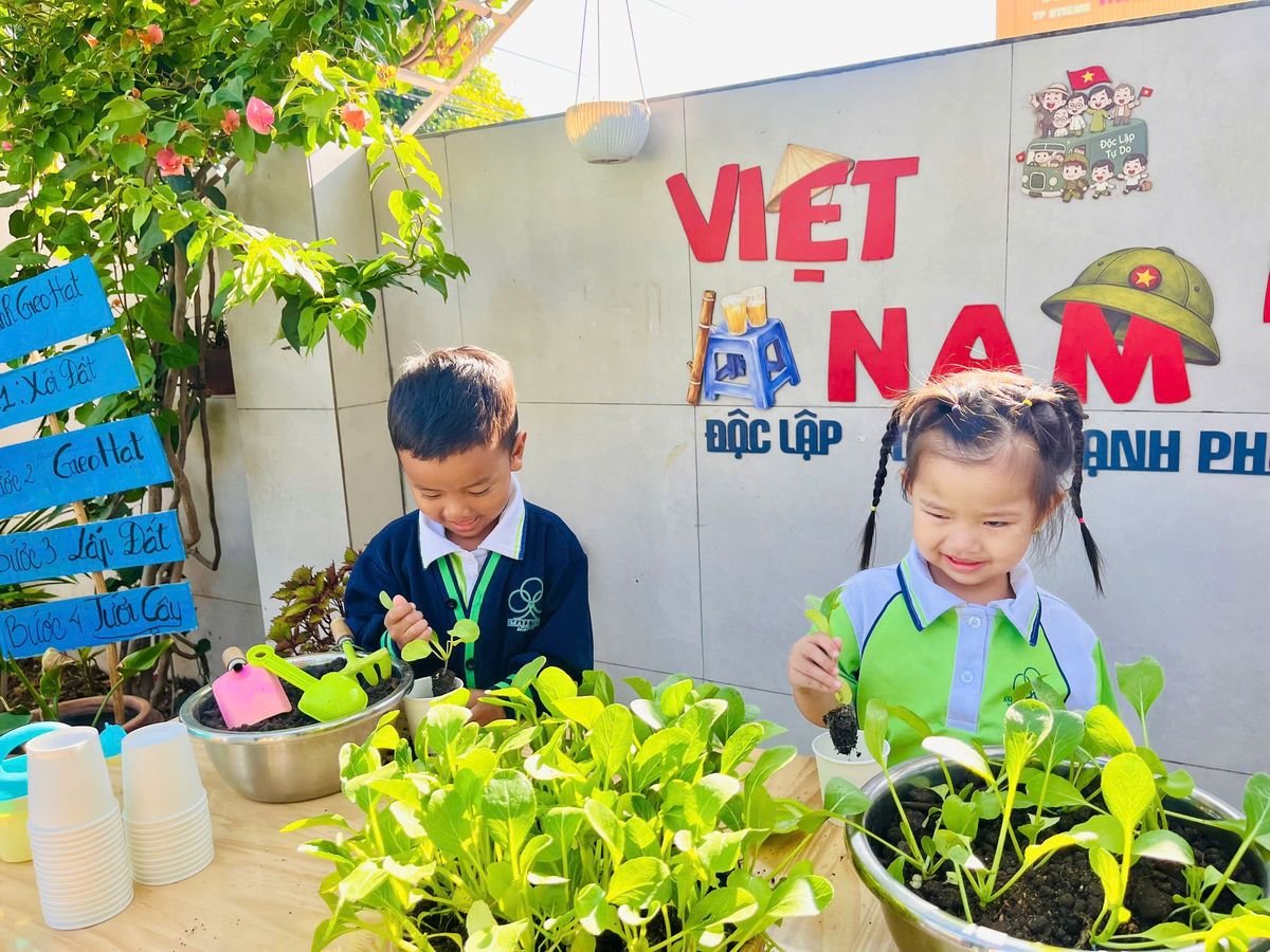 Ảnh hoạt động