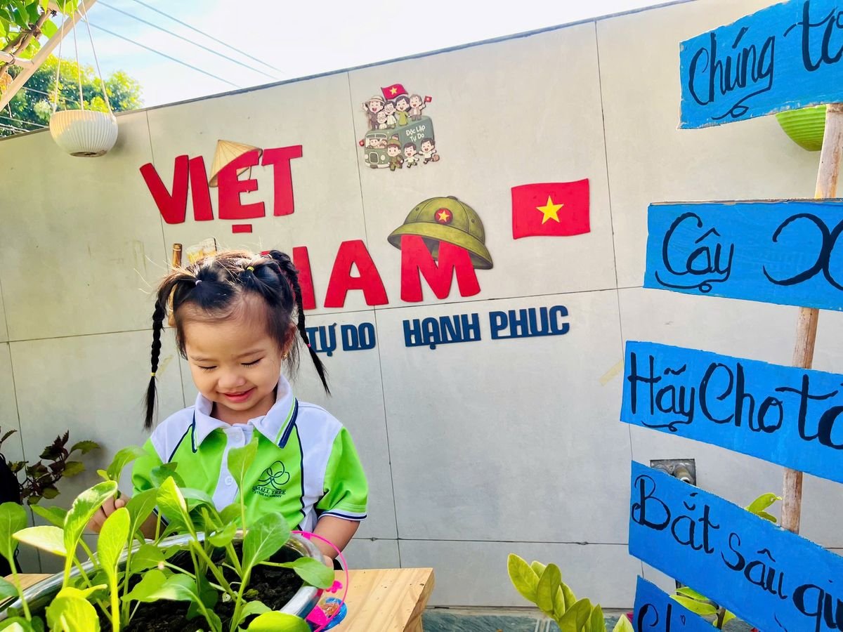 Ảnh hoạt động