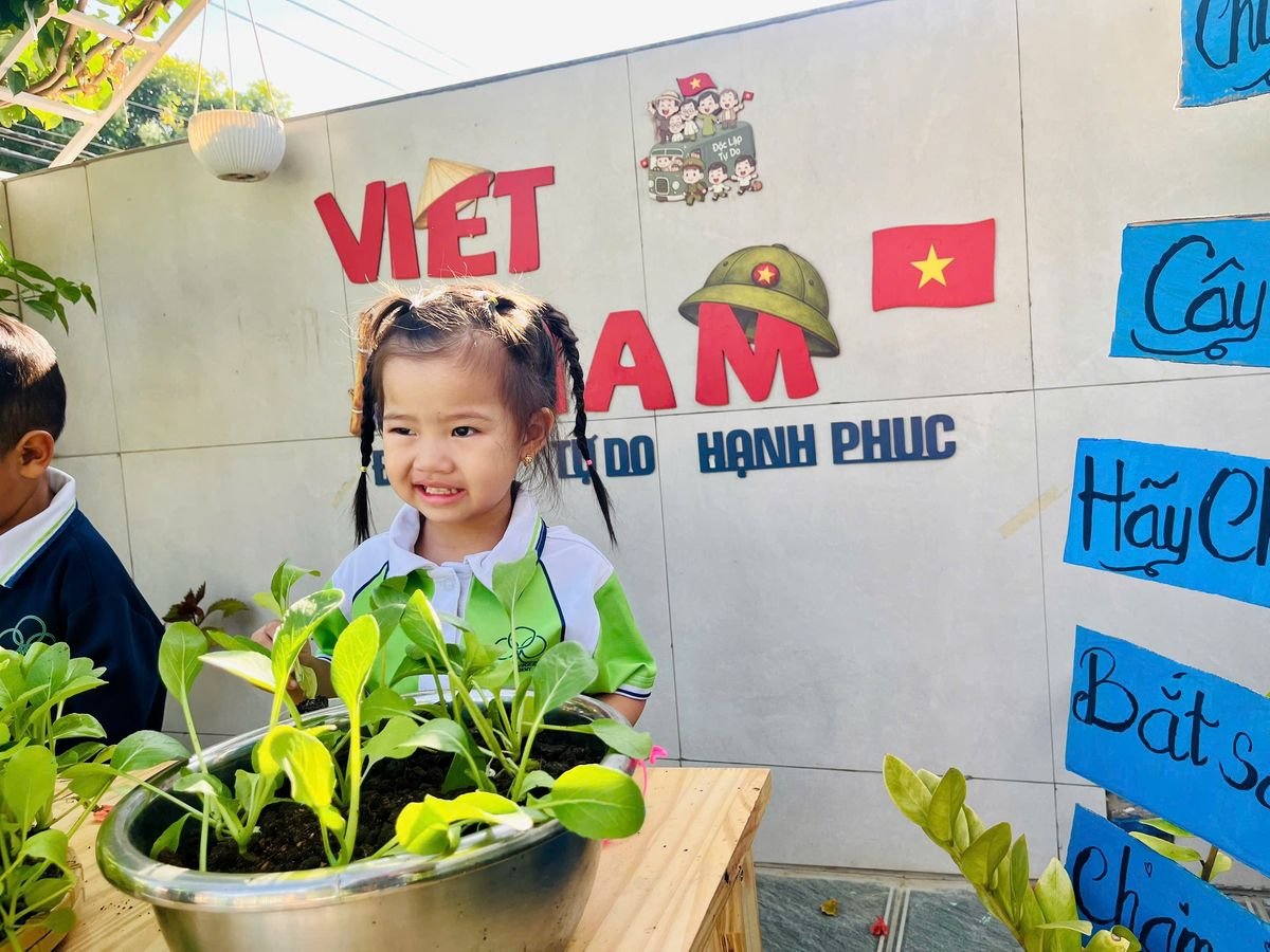 Ảnh hoạt động