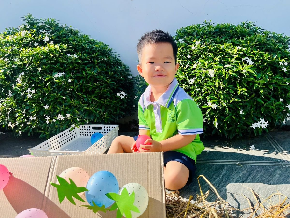 Ảnh hoạt động