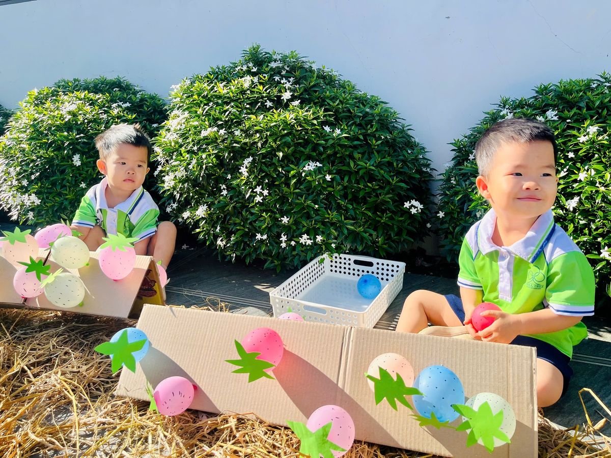 Ảnh hoạt động