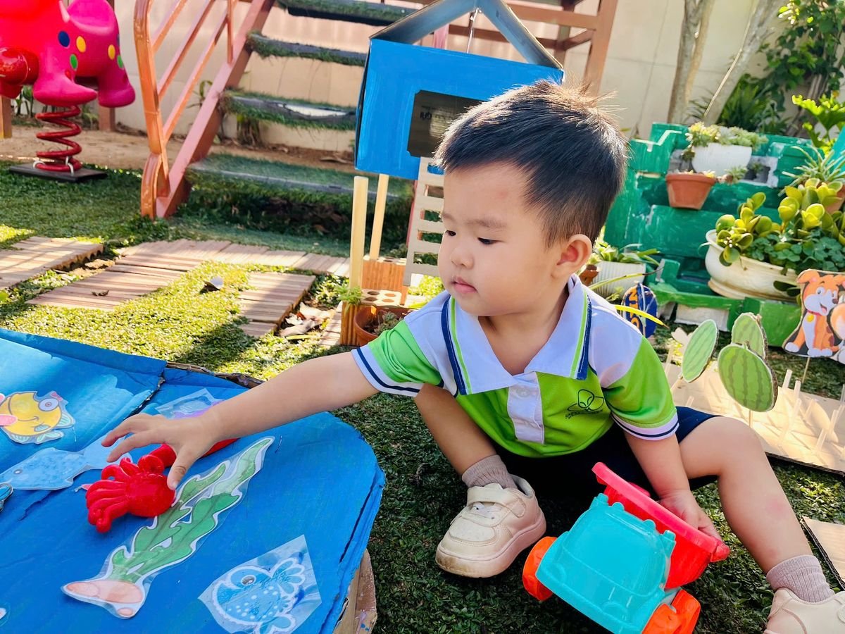 Ảnh hoạt động