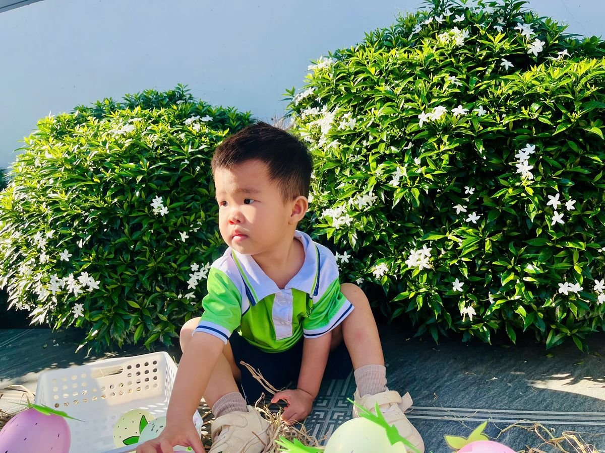 Ảnh hoạt động
