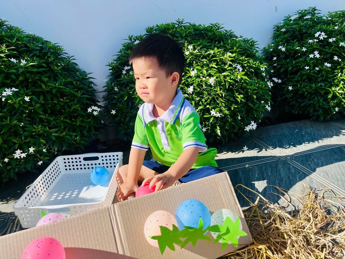 Ảnh hoạt động