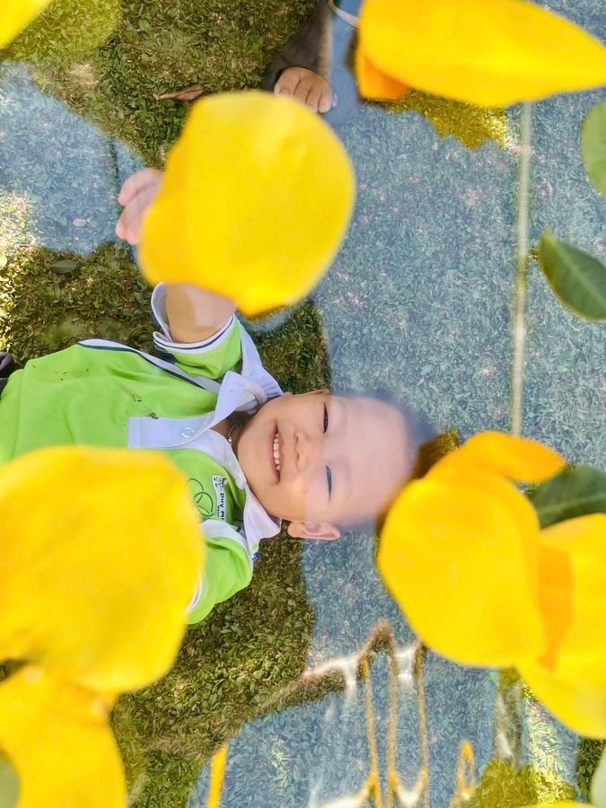 Ảnh hoạt động