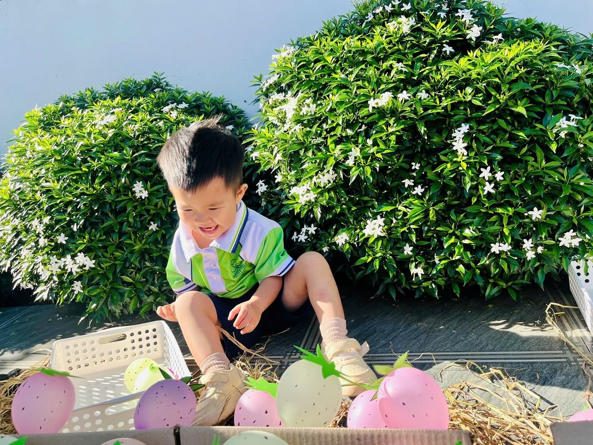 Ảnh hoạt động