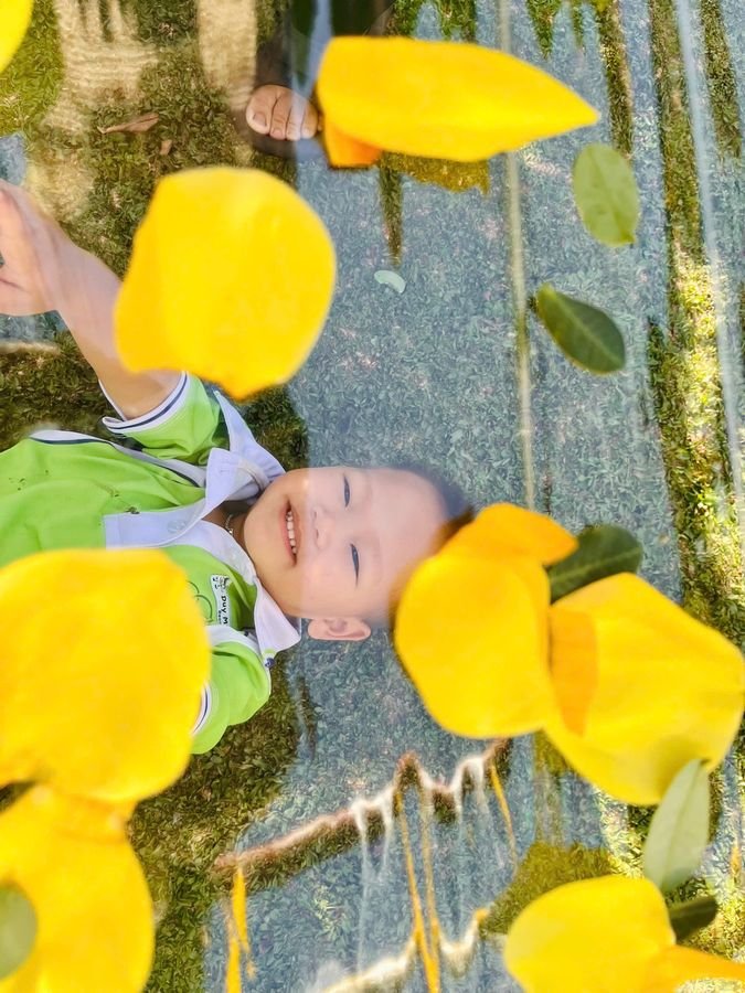 Ảnh hoạt động
