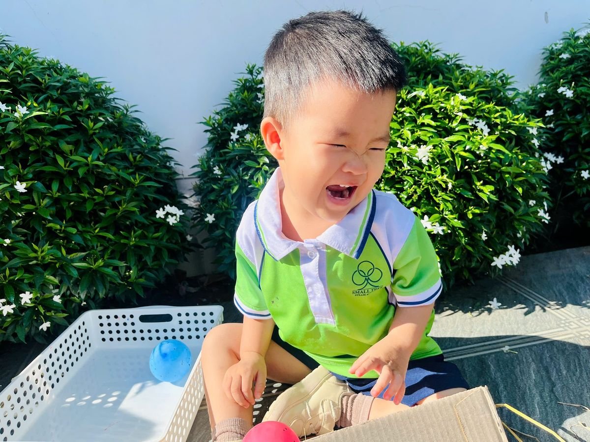 Ảnh hoạt động