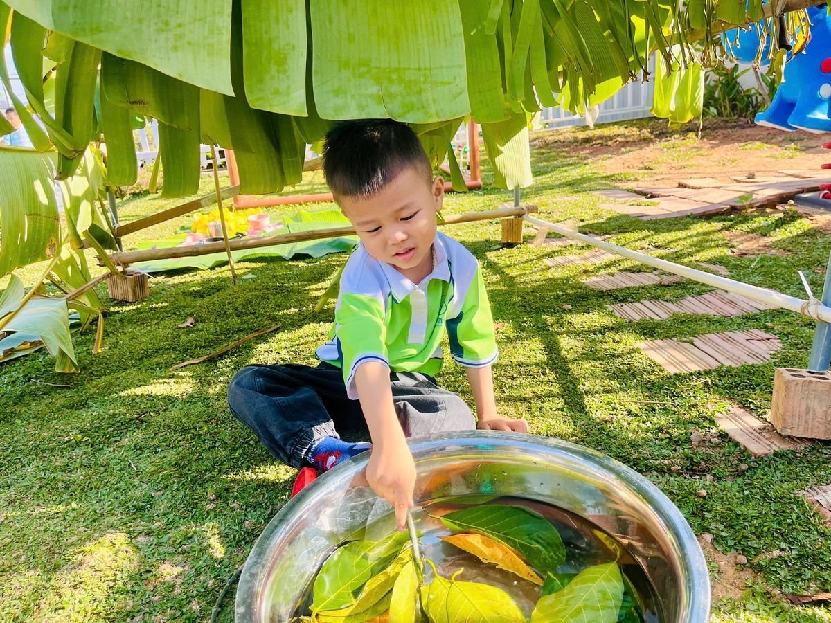 Ảnh hoạt động