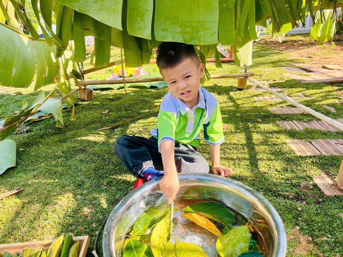 Ảnh hoạt động