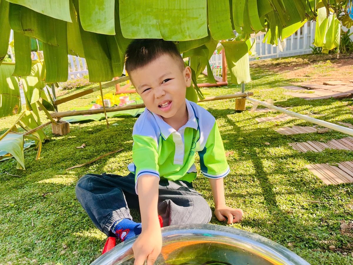 Ảnh hoạt động