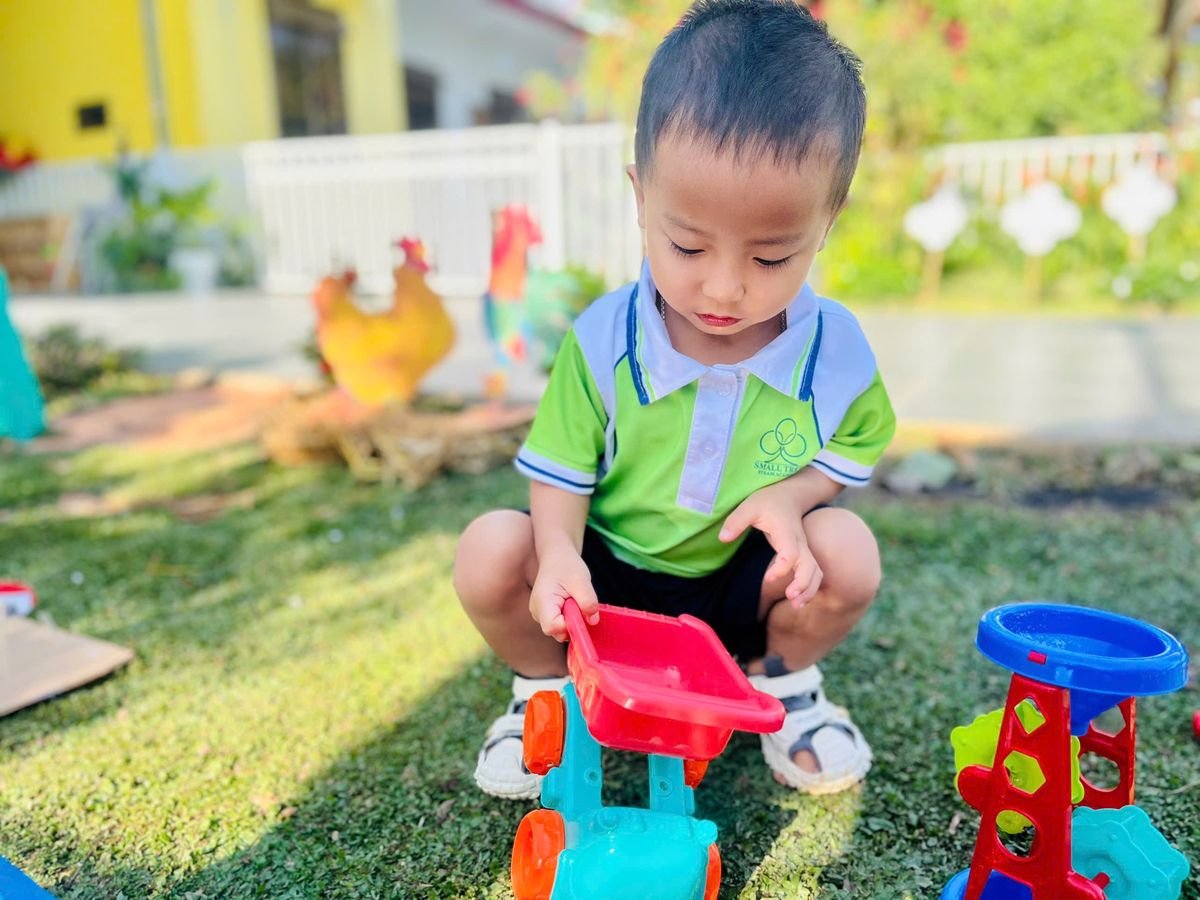 Ảnh hoạt động