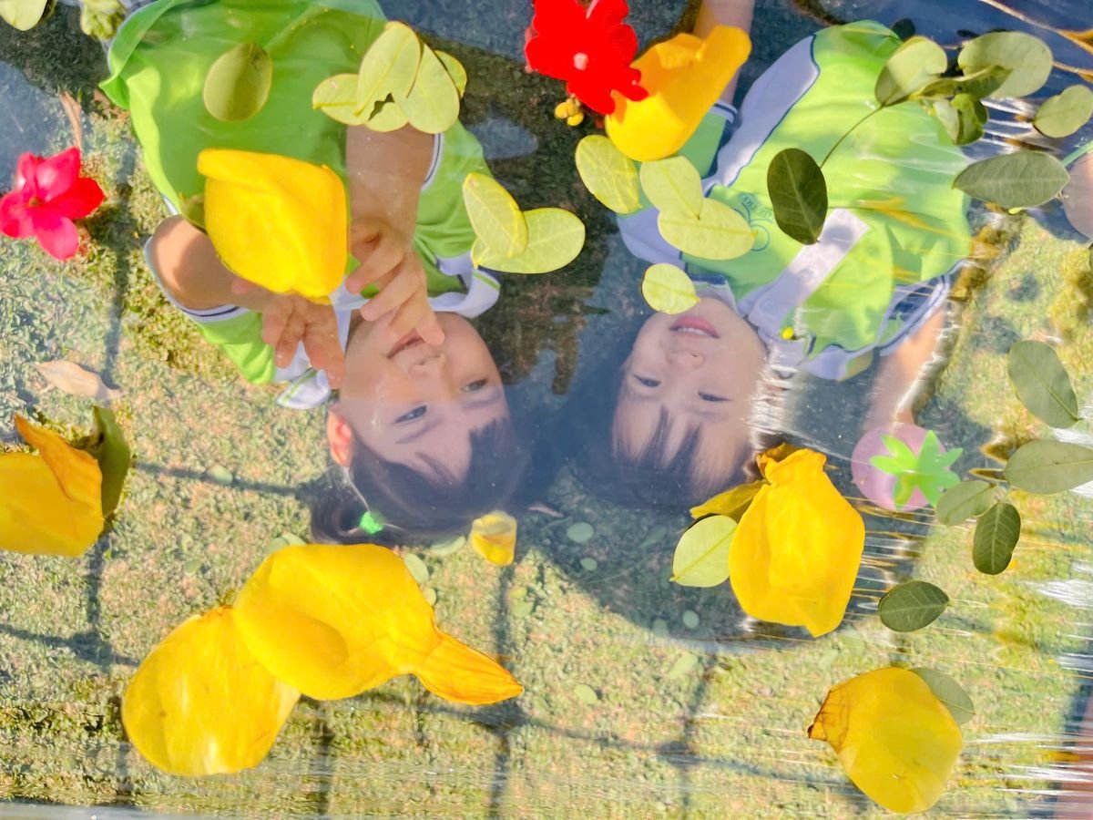Ảnh hoạt động