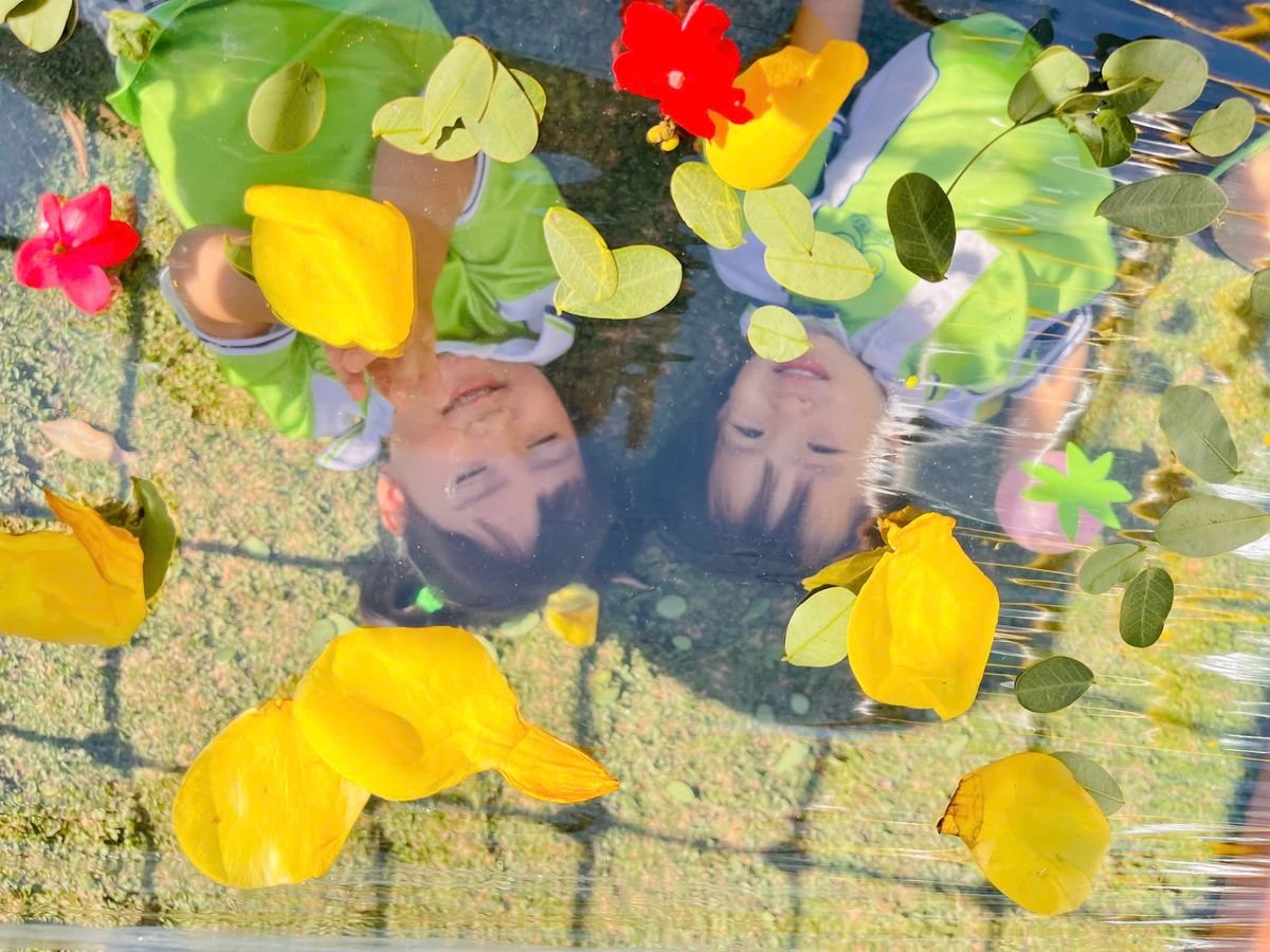 Ảnh hoạt động