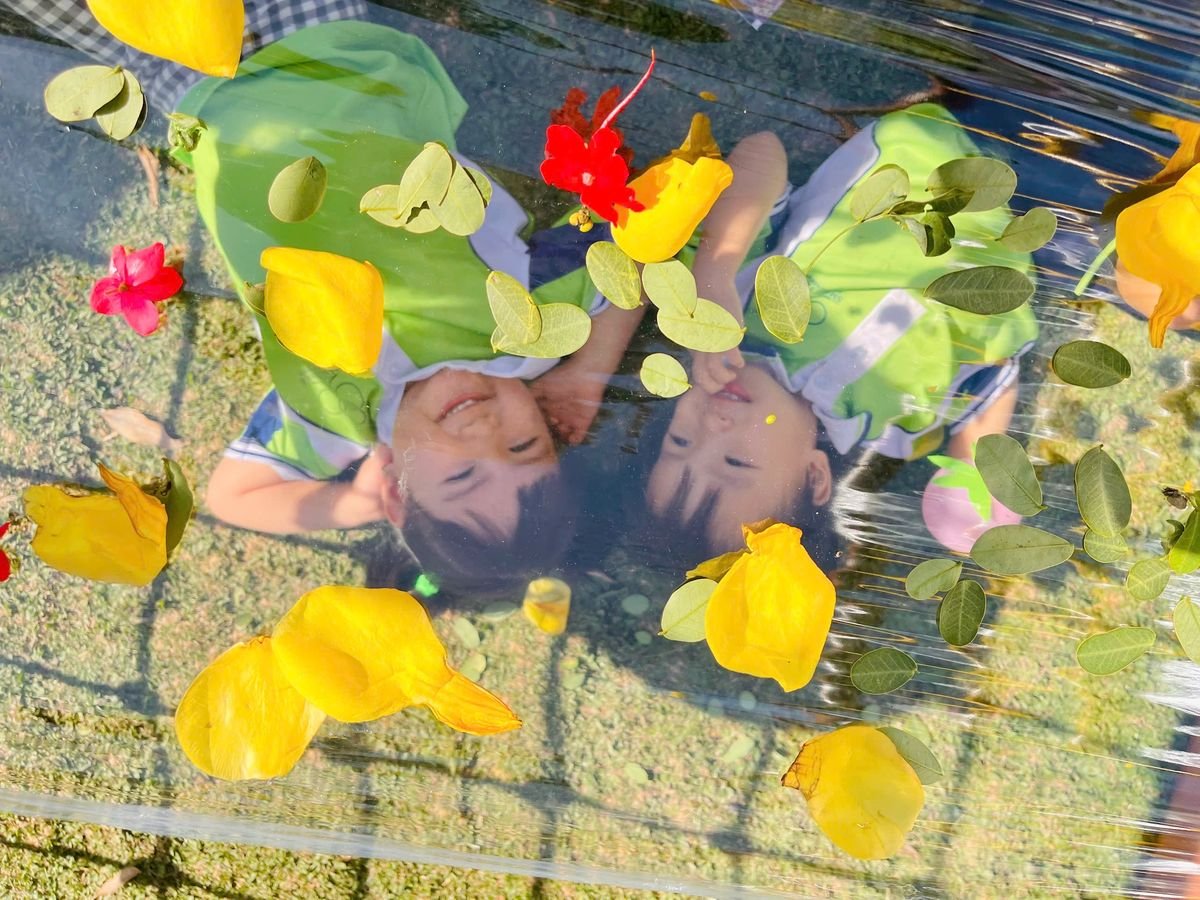 Ảnh hoạt động