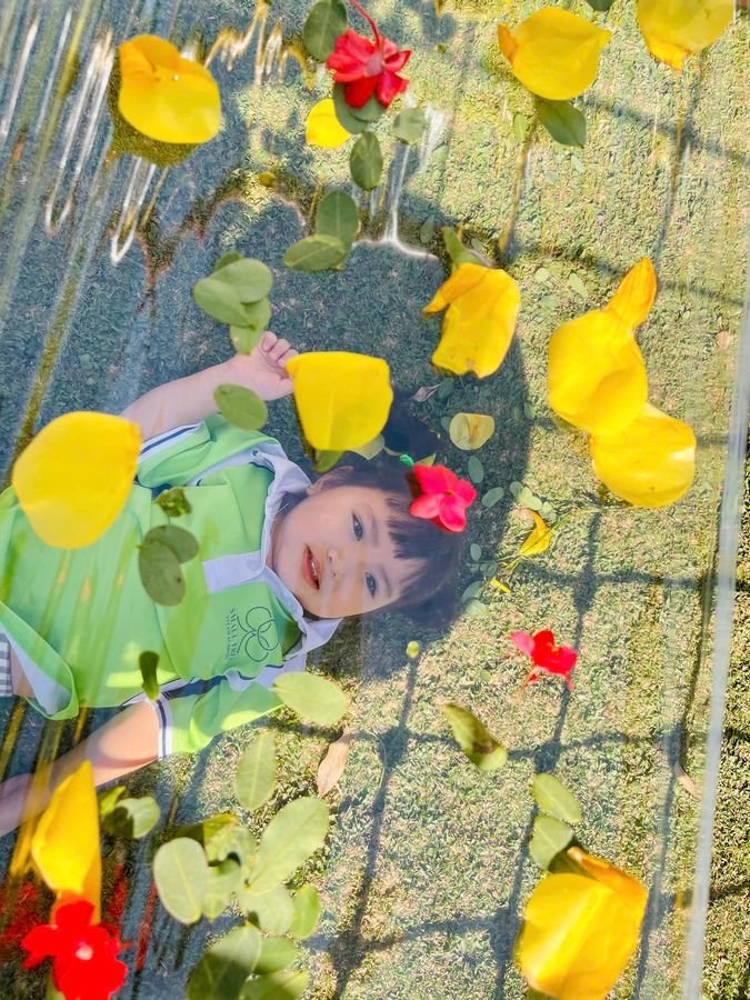 Ảnh hoạt động