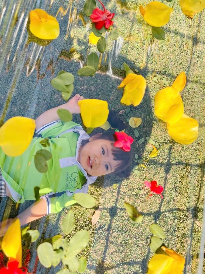 Ảnh hoạt động