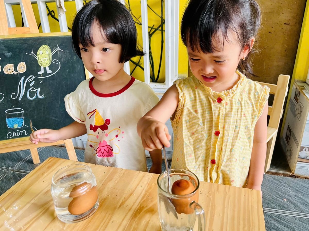 Ảnh hoạt động