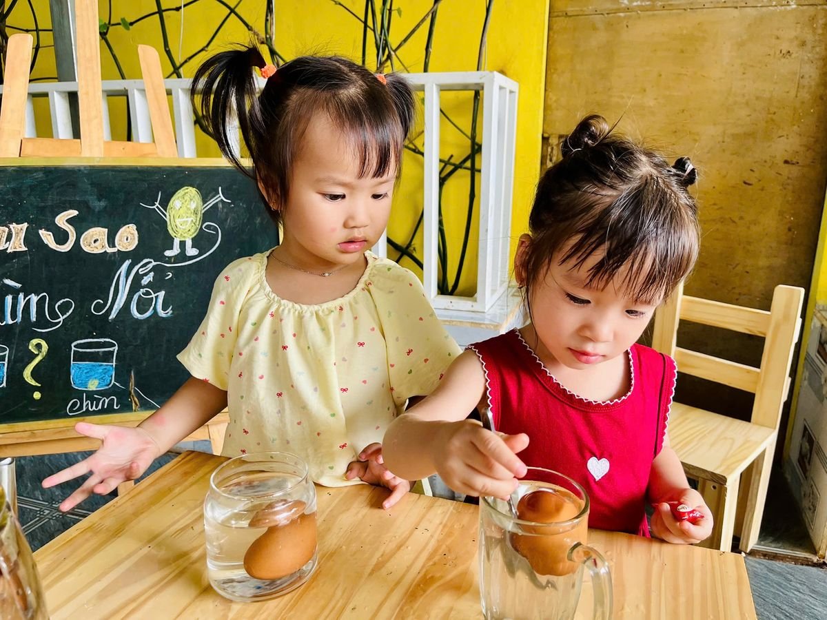 Ảnh hoạt động