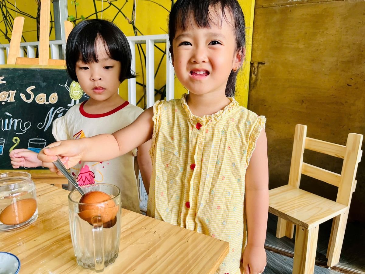 Ảnh hoạt động