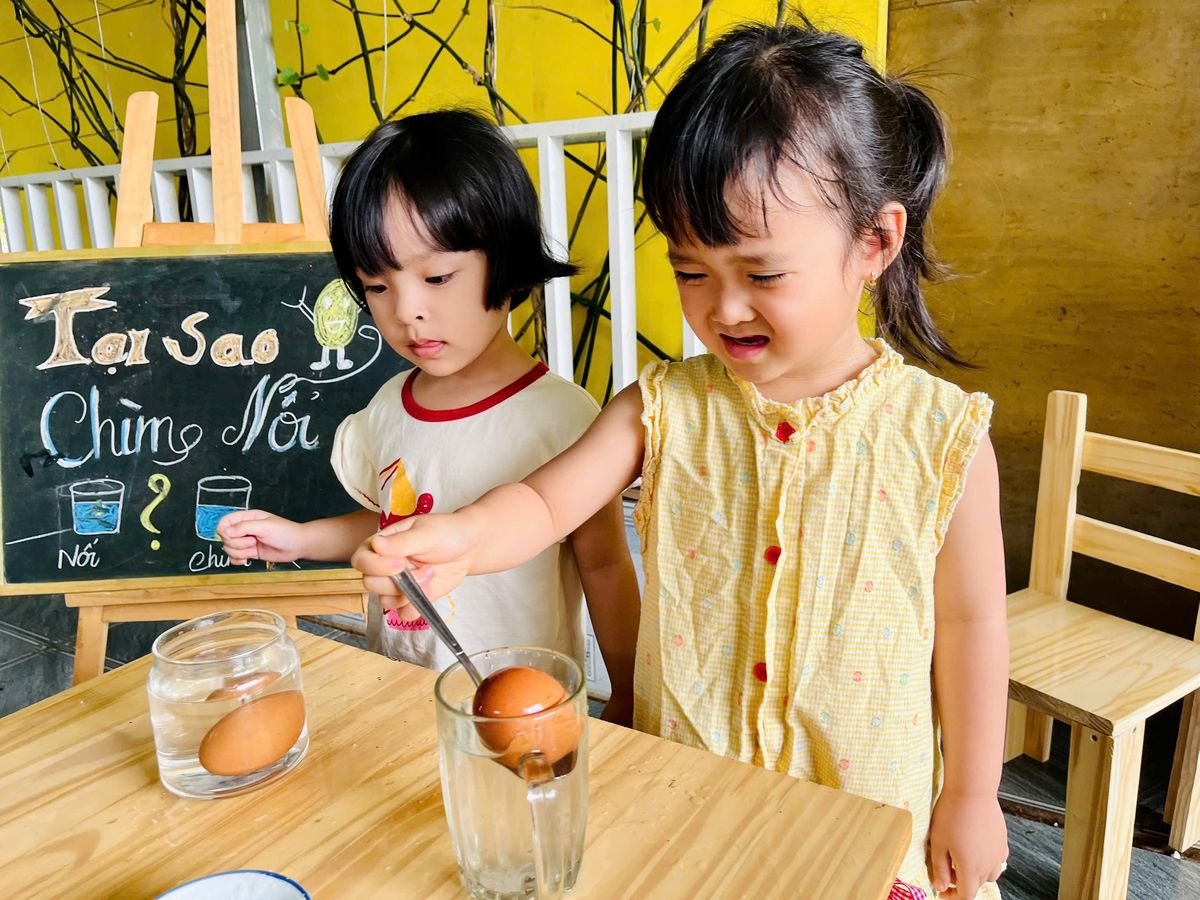 Ảnh hoạt động