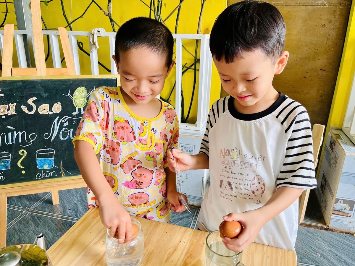 Ảnh hoạt động