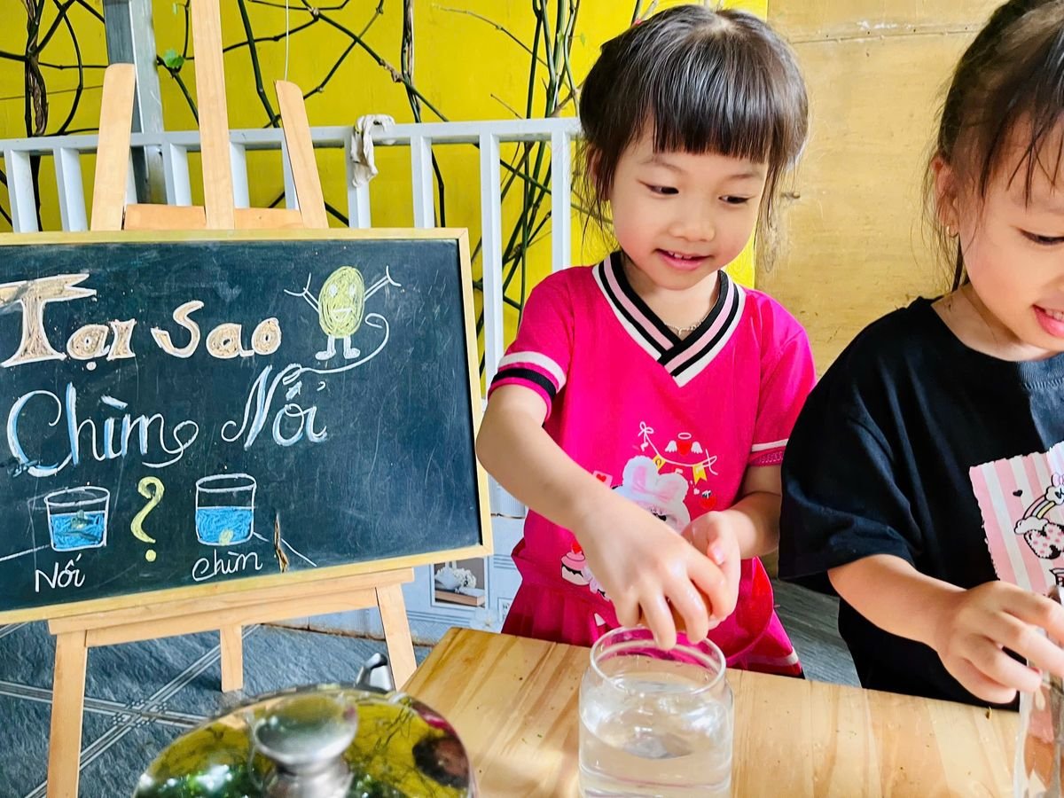 Ảnh hoạt động