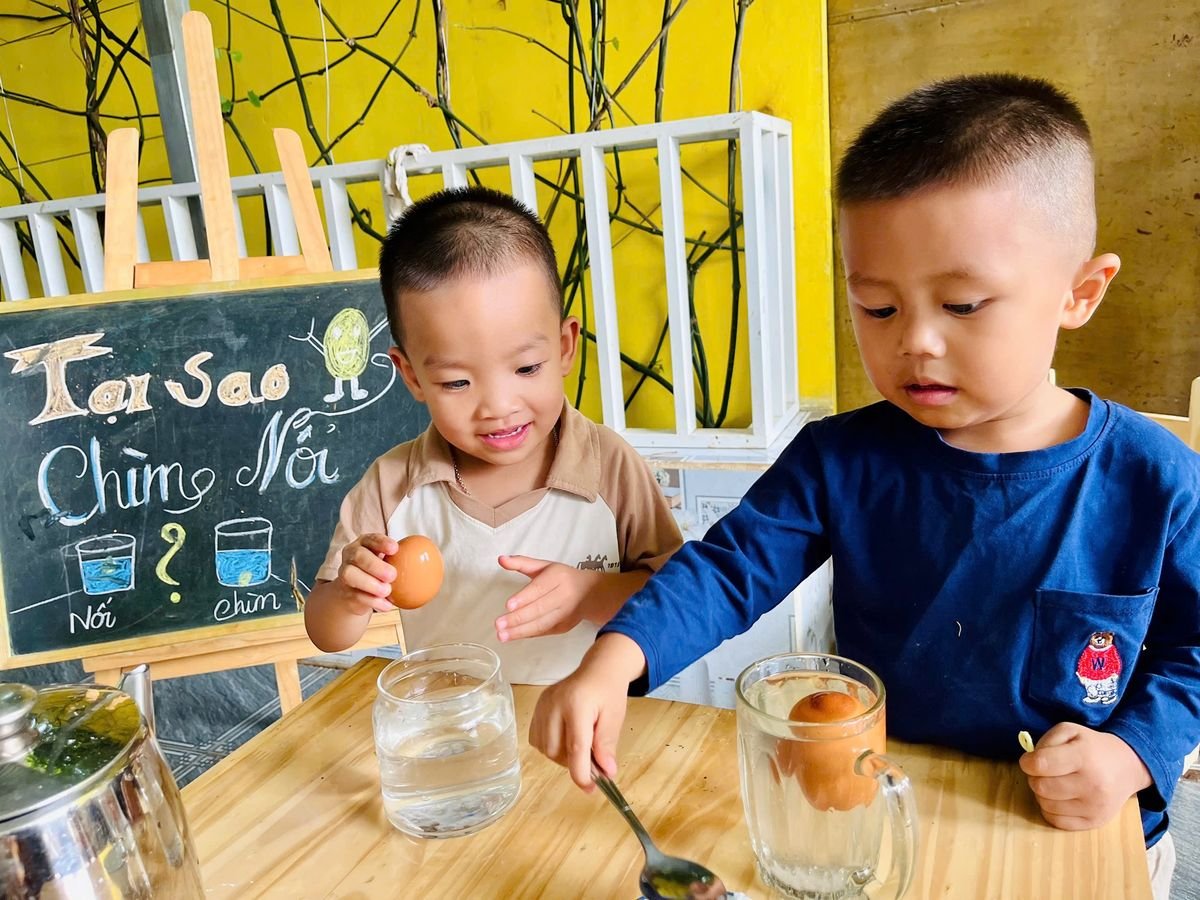 Ảnh hoạt động