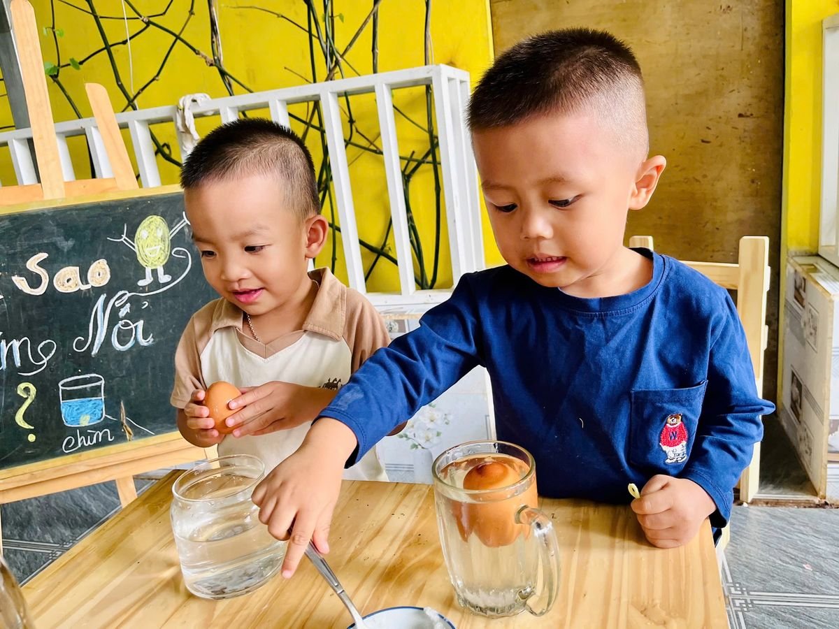Ảnh hoạt động