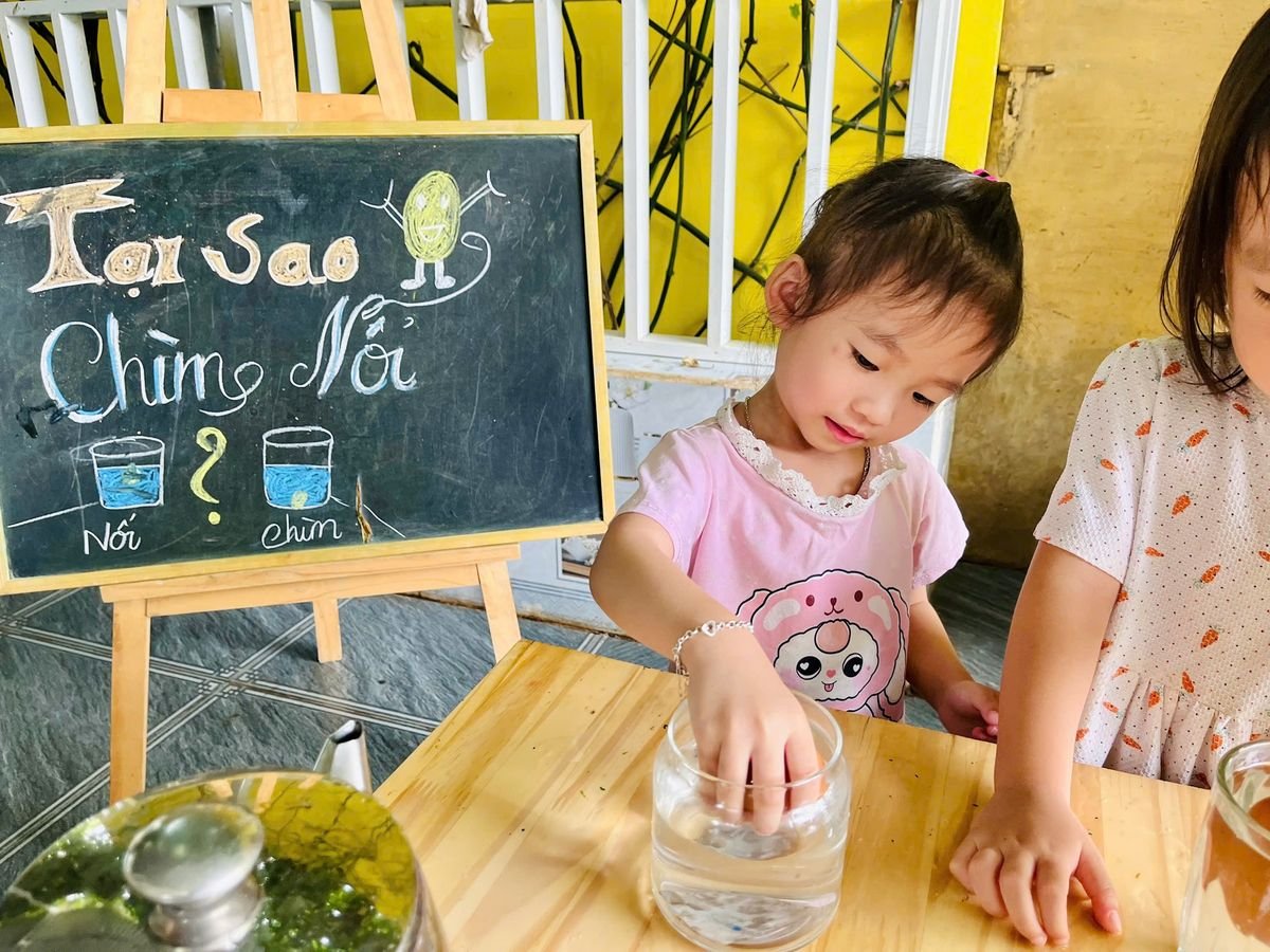 Ảnh hoạt động