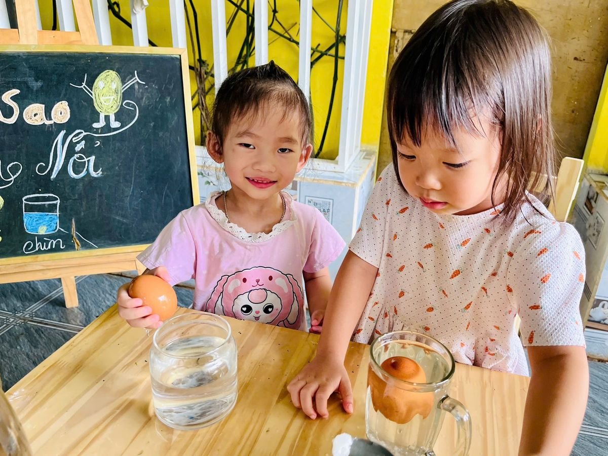 Ảnh hoạt động