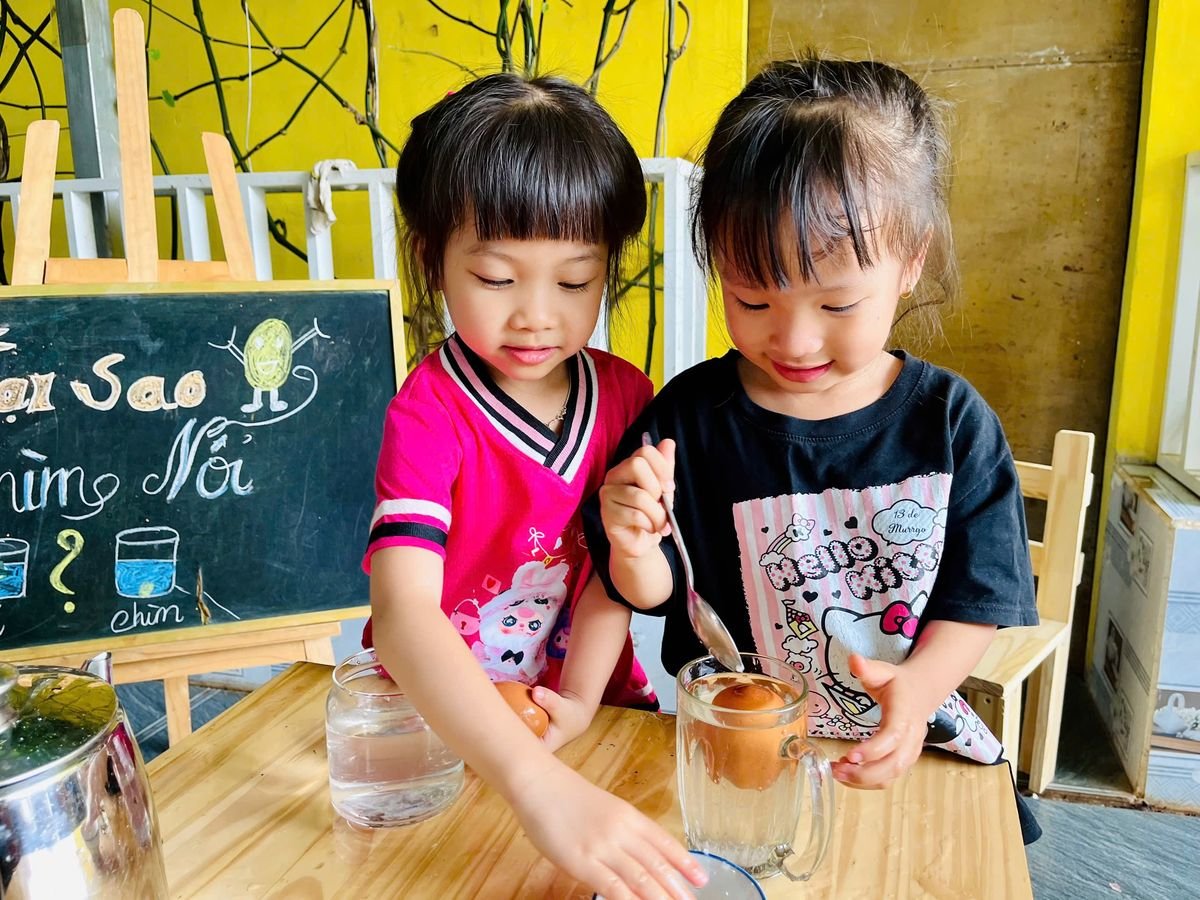 Ảnh hoạt động