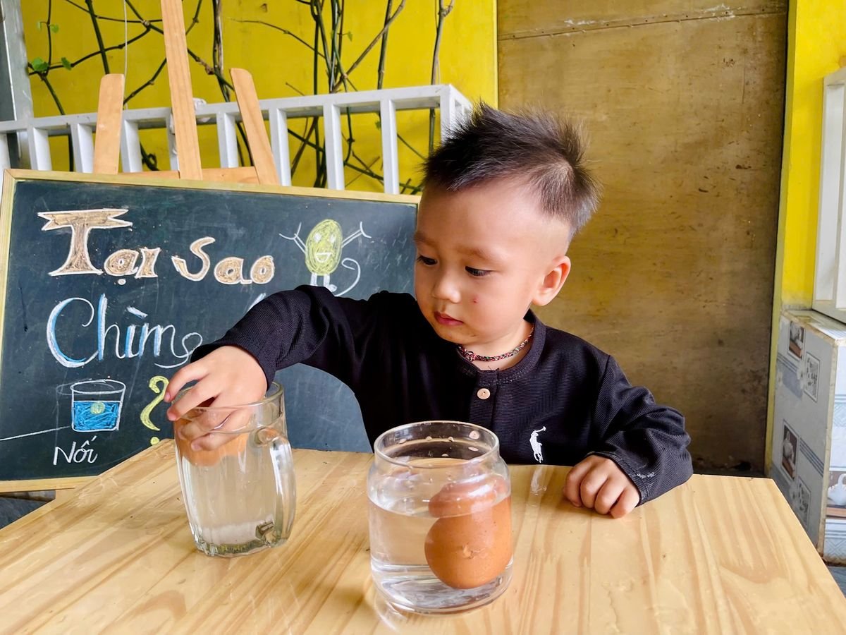 Ảnh hoạt động
