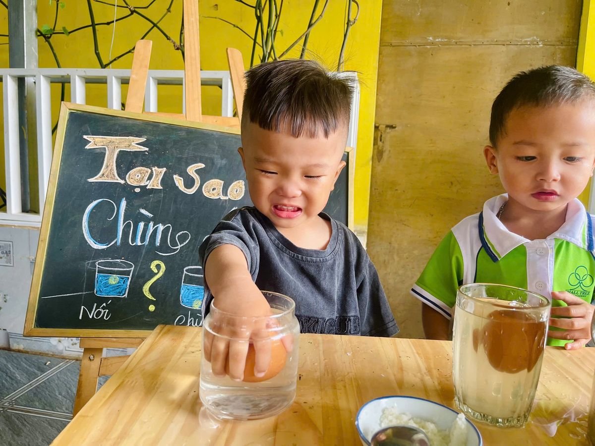Ảnh hoạt động