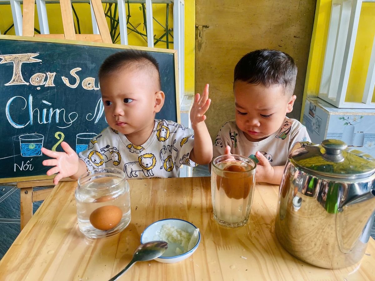 Ảnh hoạt động