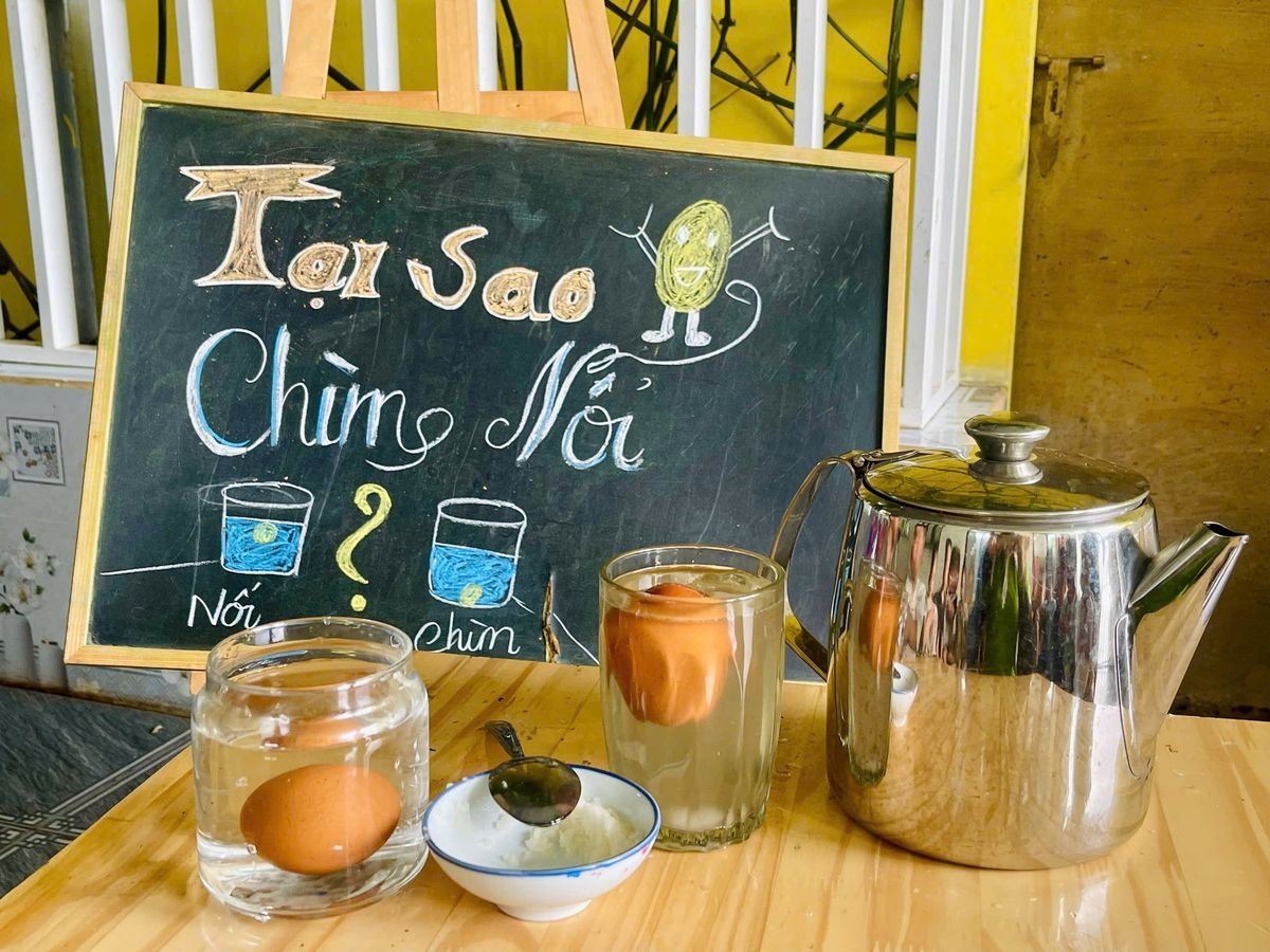 Ảnh hoạt động
