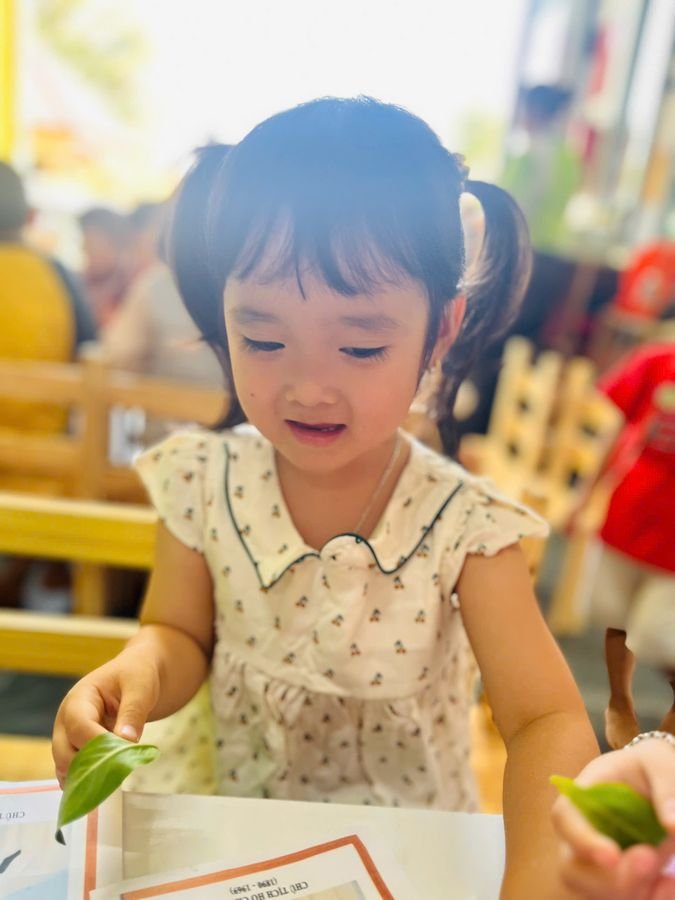 Ảnh hoạt động