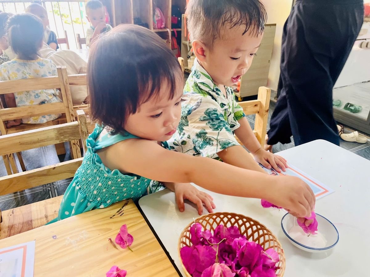 Ảnh hoạt động