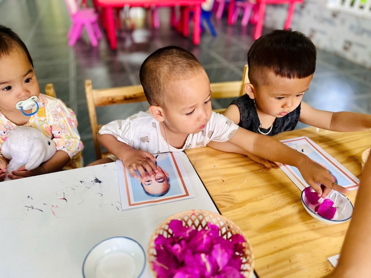 Ảnh hoạt động
